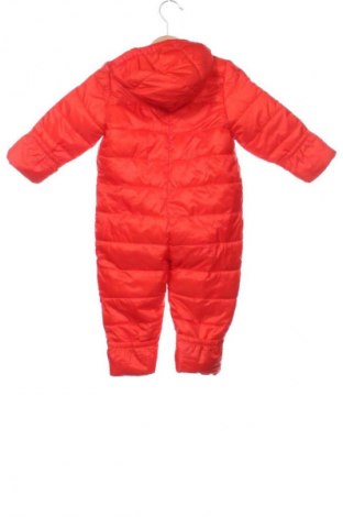 Kinder Overall Lupilu, Größe 3-6m/ 62-68 cm, Farbe Rot, Preis € 16,37