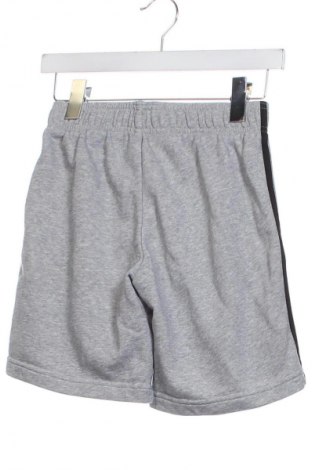 Detské krátke nohavice  Adidas, Veľkosť 10-11y/ 146-152 cm, Farba Sivá, Cena  14,16 €