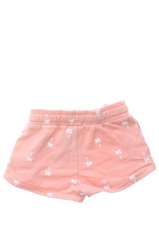 Dětské krátké kalhoty  Carter's, Velikost 9-12m/ 74-80 cm, Barva Vícebarevné, Cena  340,00 Kč