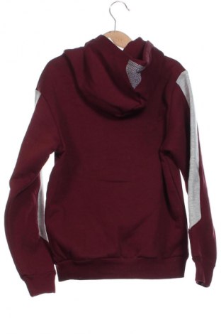 Hanorac pentru copii Unbranded, Mărime 8-9y/ 134-140 cm, Culoare Roșu, Preț 59,77 Lei