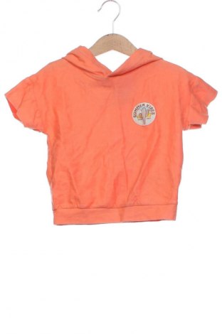 Kinder Sweatshirts Unbranded, Größe 18-24m/ 86-98 cm, Farbe Orange, Preis € 11,25