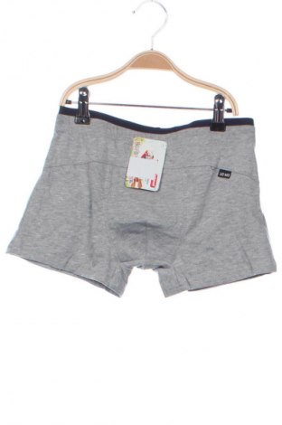 Παιδικά εσώρουχα Unbranded, Μέγεθος 13-14y/ 164-168 εκ., Χρώμα Γκρί, Τιμή 9,19 €