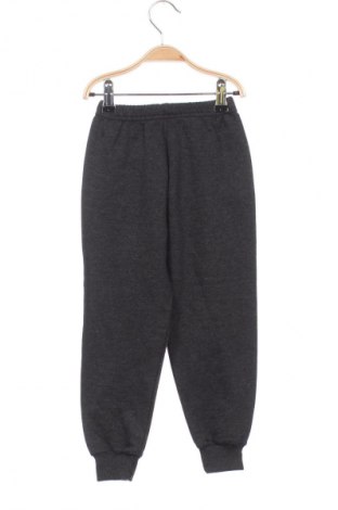 Pantaloni de trening, pentru copii Unbranded, Mărime 2-3y/ 98-104 cm, Culoare Gri, Preț 63,24 Lei