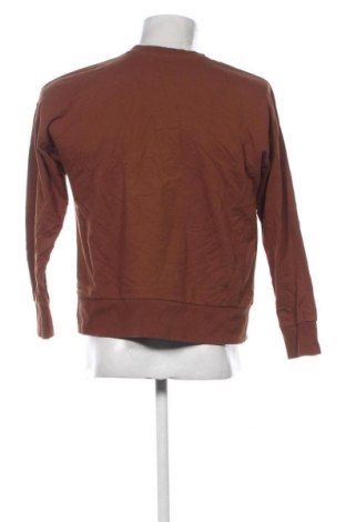 Herren Shirt Laura Torelli, Größe S, Farbe Braun, Preis 13,99 €