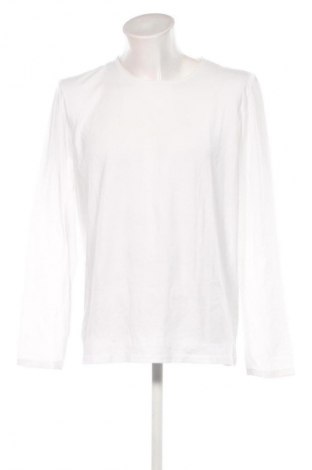 Herren Shirt Majestic Filatures, Größe XXL, Farbe Weiß, Preis 91,99 €