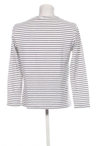 Herren Shirt Unbranded, Größe L, Farbe Mehrfarbig, Preis 21,99 €