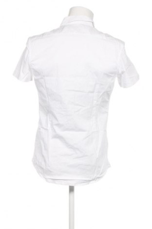 Pánska košeľa  Daniele Alessandrini, Veľkosť M, Farba Biela, Cena  76,95 €