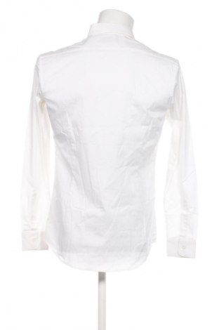 Pánska košeľa  Daniele Alessandrini, Veľkosť M, Farba Biela, Cena  84,95 €