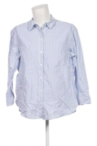 Herrenhemd H&M, Größe L, Farbe Mehrfarbig, Preis € 20,99