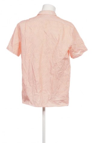 Herrenhemd Olymp, Größe XL, Farbe Mehrfarbig, Preis 33,99 €