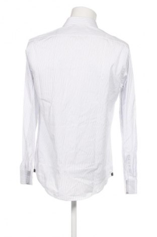 Herrenhemd Pal Zileri, Größe L, Farbe Mehrfarbig, Preis € 134,99