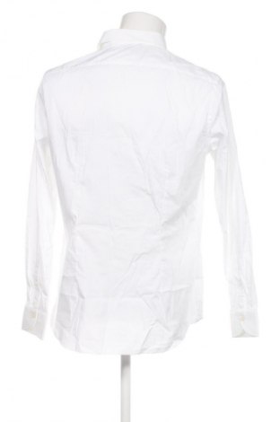 Herrenhemd Peserico, Größe L, Farbe Weiß, Preis € 122,99