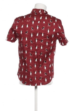 Herrenhemd Primark, Größe S, Farbe Mehrfarbig, Preis € 32,99