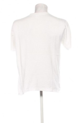 Herren T-Shirt Anvil, Größe L, Farbe Weiß, Preis € 10,00
