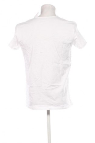 Herren T-Shirt Bigotti, Größe M, Farbe Mehrfarbig, Preis 12,70 €