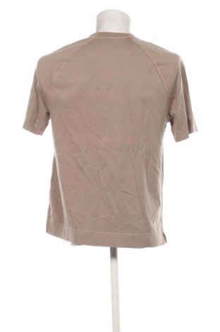 Herren T-Shirt CIRCOLO 1901, Größe M, Farbe Braun, Preis 60,99 €