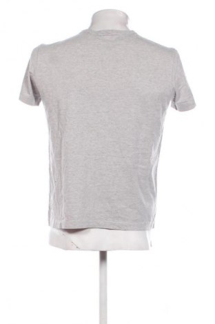 Herren T-Shirt Champion, Größe S, Farbe Grau, Preis € 13,99