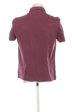 Herren T-Shirt Della Ciana, Größe XL, Farbe Lila, Preis 85,99 €