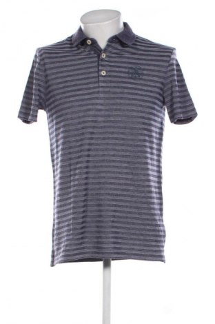 Herren T-Shirt Gaastra, Größe L, Farbe Mehrfarbig, Preis € 33,99