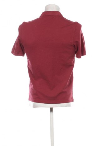 Ανδρικό t-shirt Gran Sasso, Μέγεθος M, Χρώμα Κόκκινο, Τιμή 69,99 €