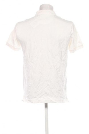 Herren T-Shirt Nimbus, Größe L, Farbe Ecru, Preis € 75,99