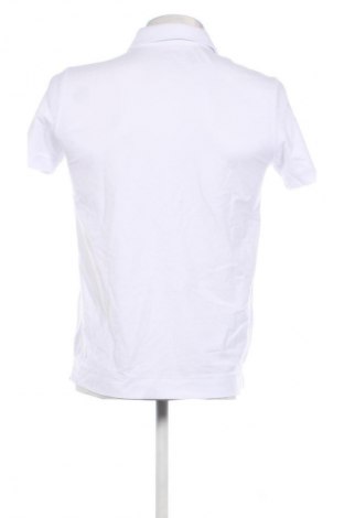 Herren T-Shirt SUNS, Größe M, Farbe Weiß, Preis € 86,99