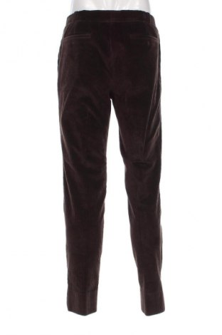 Herren Cordhose Pal Zileri, Größe L, Farbe Braun, Preis € 134,99