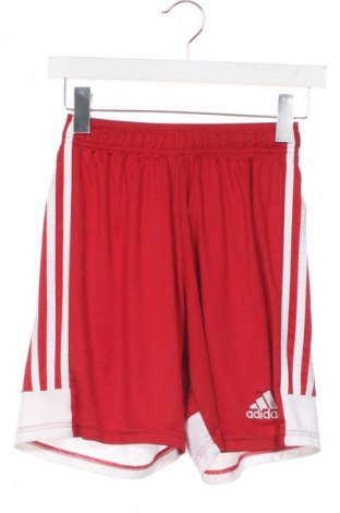 Ανδρικό κοντό παντελόνι Adidas, Μέγεθος S, Χρώμα Κόκκινο, Τιμή 17,97 €