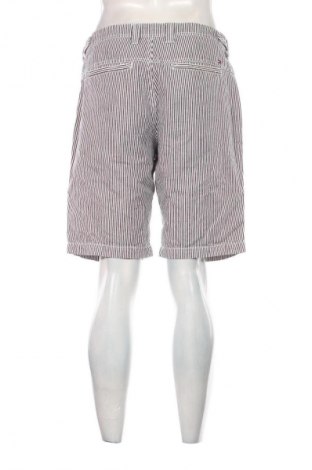 Herren Shorts Tommy Hilfiger, Größe L, Farbe Mehrfarbig, Preis € 94,27