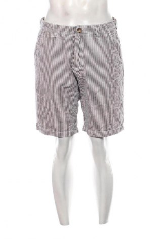 Herren Shorts Tommy Hilfiger, Größe L, Farbe Mehrfarbig, Preis € 94,27