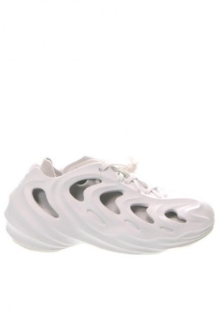 Herrenschuhe Adidas, Größe 41, Farbe Mehrfarbig, Preis 45,00 €