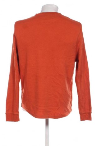 Herrenpullover American Eagle, Größe XL, Farbe Orange, Preis 33,99 €