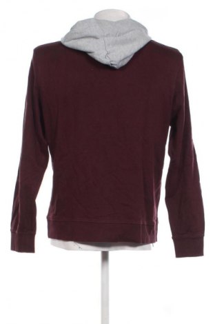 Herren Sweatshirt Springfield, Größe L, Farbe Mehrfarbig, Preis € 23,99