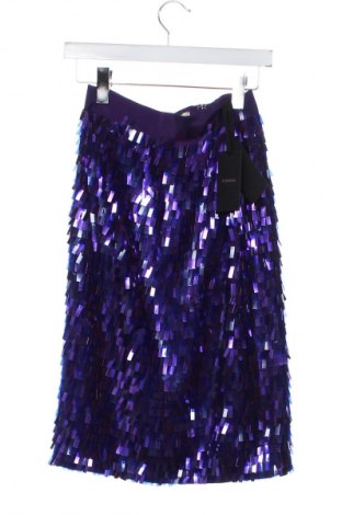 Φούστα Pinko, Μέγεθος XXS, Χρώμα Βιολετί, Τιμή 164,99 €