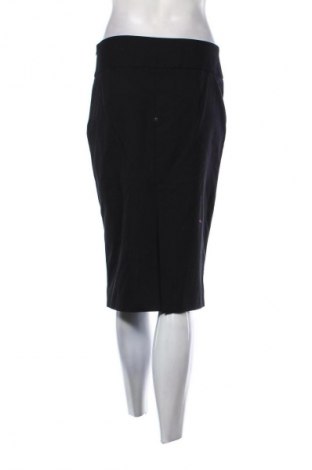 Fustă Zara, Mărime M, Culoare Negru, Preț 68,30 Lei
