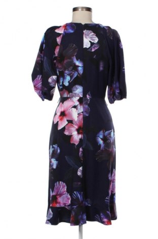 Kleid Adrianna Papell, Größe S, Farbe Mehrfarbig, Preis € 41,90