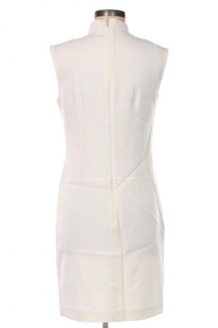 Kleid BCBG Max Azria, Größe M, Farbe Ecru, Preis 192,99 €