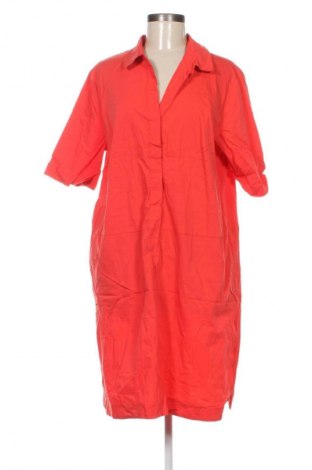 Kleid Betty Barclay, Größe XL, Farbe Rot, Preis € 57,99
