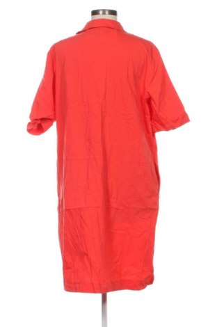Kleid Betty Barclay, Größe XL, Farbe Rot, Preis € 57,99