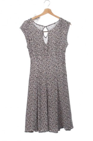 Kleid Cami, Größe XS, Farbe Mehrfarbig, Preis € 14,63