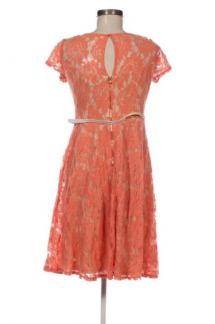 Kleid Danny And Nicole, Größe M, Farbe Mehrfarbig, Preis € 33,99