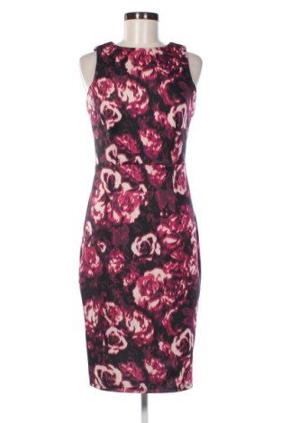 Šaty  Dorothy Perkins, Velikost M, Barva Vícebarevné, Cena  434,00 Kč