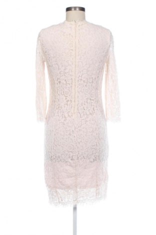 Kleid H&M, Größe M, Farbe Rosa, Preis € 14,83