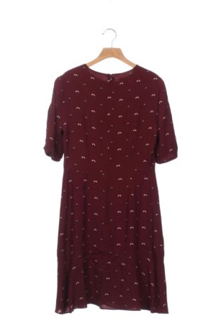 Φόρεμα Hobbs, Μέγεθος XS, Χρώμα Πολύχρωμο, Τιμή 48,99 €