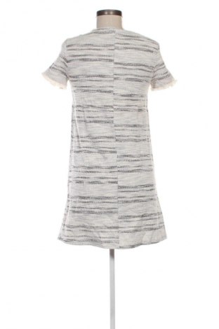 Kleid Mango, Größe S, Farbe Mehrfarbig, Preis 23,99 €