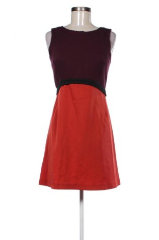 Kleid Miss Selfridge, Größe M, Farbe Mehrfarbig, Preis 19,39 €