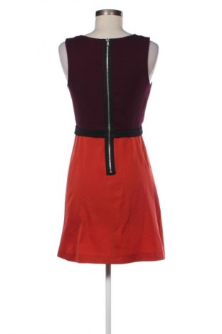 Kleid Miss Selfridge, Größe M, Farbe Mehrfarbig, Preis 19,39 €