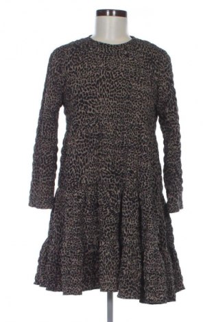 Kleid Zara, Größe S, Farbe Mehrfarbig, Preis 12,94 €