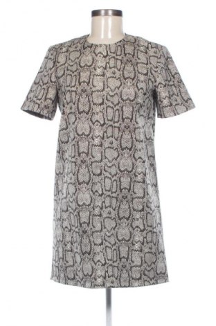 Kleid Zara, Größe S, Farbe Mehrfarbig, Preis € 13,81