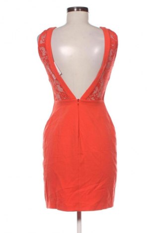 Kleid Zara Trafaluc, Größe L, Farbe Orange, Preis 15,99 €